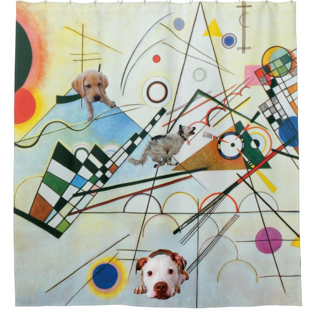 Cortina Para Box Partido da composição VIII (Frente)