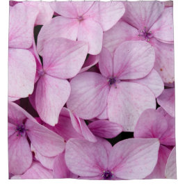 Cortina Para Box Pastel Charm: Pink Flowers in the Heart of SAPA