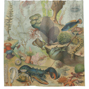 Cortina Para Box Peixe oceânico da biologia marinha retrô-vintage