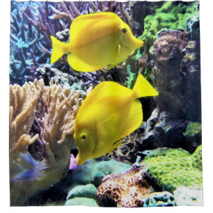 Cortina Para Box Peixe-Tang Amarelo-Havaiano