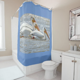 Cortina Para Box Pelicanos Nature Photoics Mississipi