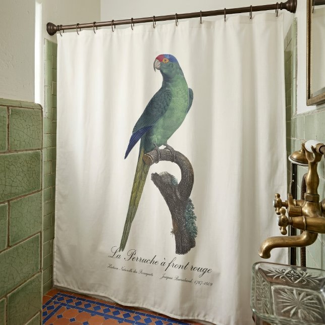 Cortina Para Box Periquito-fronte-laranja, Eupsittula Canicularis (Orange-Fronted Parakeet, Eupsittula Canicularis. Shower Curtain)