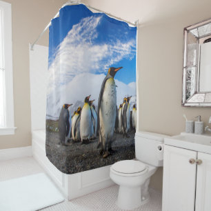 Cortina Para Box Pinguins Marching Blue Sky