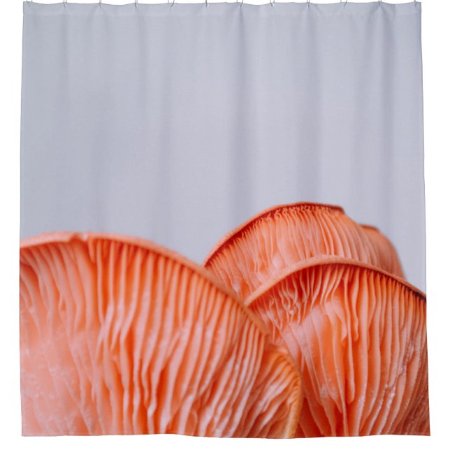 CORTINA PARA BOX PINK MUSHROOMS (Frente)