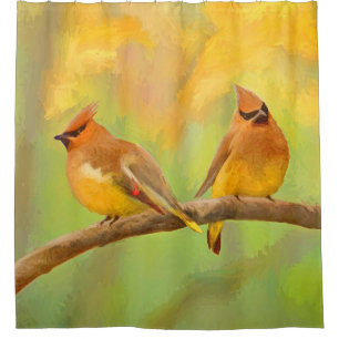 Cortina Para Box Pintura De Cedar Waxwing - Arte De Cachorro Origin