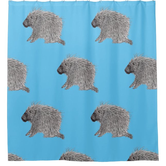 Cortina Para Box Porcupine (Frente)