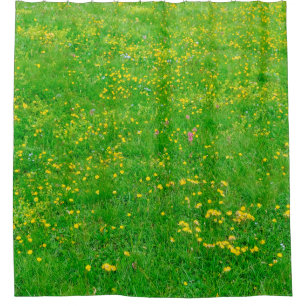 Cortina Para Box Prado das flores silvestres dos Alpes Dolomitas so