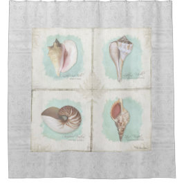 Cortina Para Box Prateleiras Conchas Costeiras do Oceano Costeiro