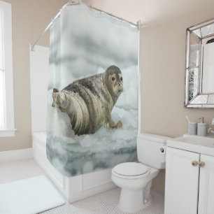 Cortina Para Box Precioso Baby Seal