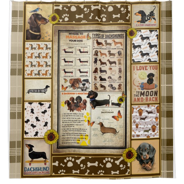 Cortina Para Box Presente Bonito Do Conhecimento Dachshund Personal (Frente)