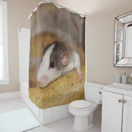 Cortina Para Box Rato Cujo