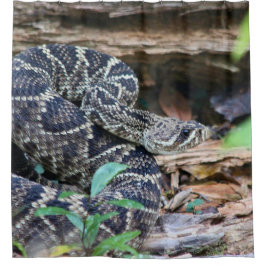 Cortina Para Box Rattlesnake In The Wild