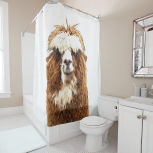 Cortina Para Box Retrato Alpaca Cute