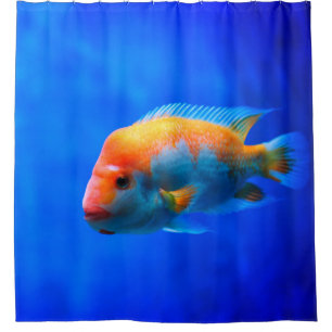 Cortina Para Box Retrato Azul Marcante de Peixe Tropical Subaquátic