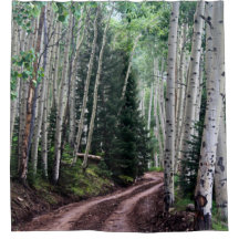 Road Through The Birch