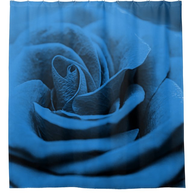 Cortina Para Box Rosa vermelha azul próxima, macrobeleza. (Frente)