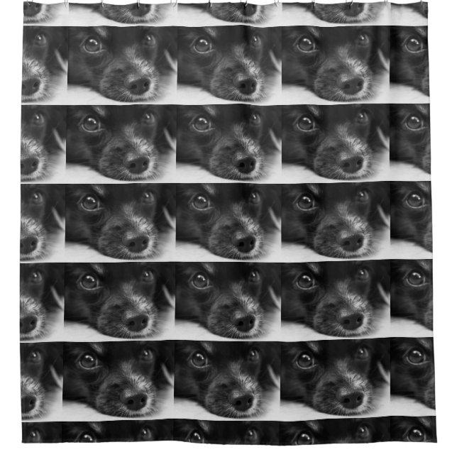Cortina Para Box rosto de papillon (Frente)