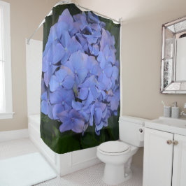 Cortina Para Box Roxo Roxo Hidrangea macrofilla