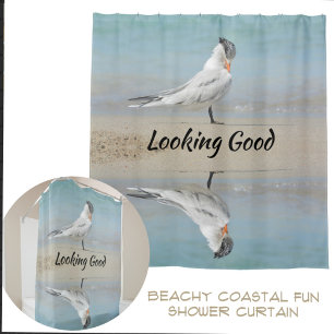 Cortina Para Box Royal Tern