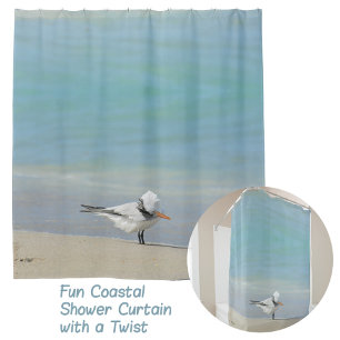 Cortina Para Box Royal Tern on Beach Photographics Coastal