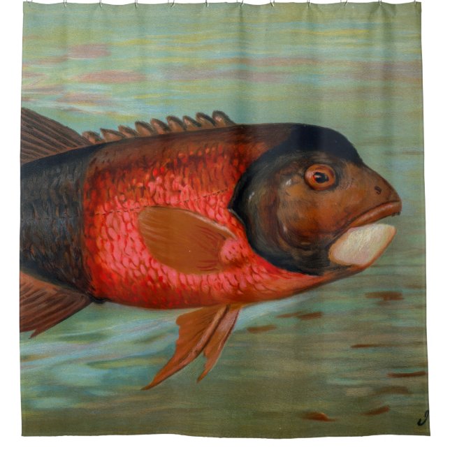 Cortina Para Box Sacramento Pike por John L Petrie (Frente)