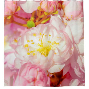 Cortina Para Box Sakura Cherry FLower - Casamento Da Natureza