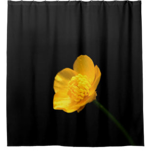 Cortina Para Box Sccn de Flor do Buttercup