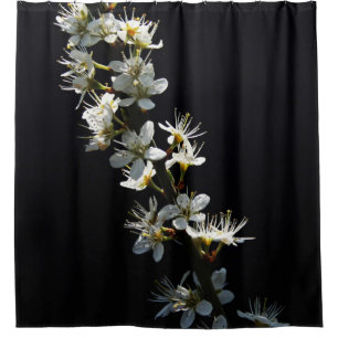 Cortina Para Box Sccn de Flores Hawthorn