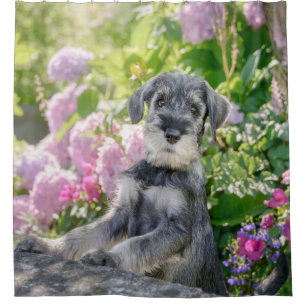 Cortina Para Box Schnauzer Puppy Padrão em Jardim de Flor -