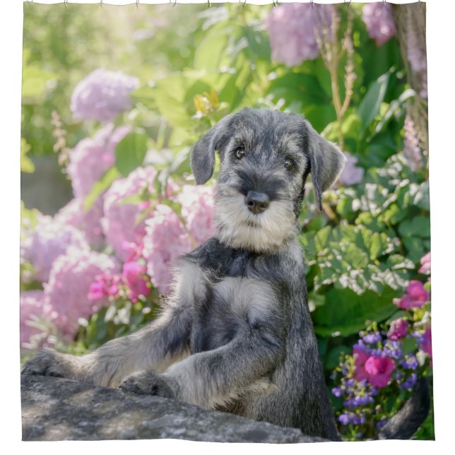 Cortina Para Box Schnauzer Puppy Padrão em Jardim de Flor - (Frente)