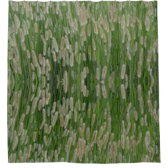 Cortina Para Box Sementes De Grãos Verdes Altas (Frente)