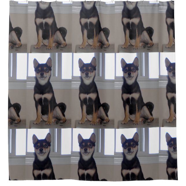 Cortina Para Box shiba inu nu nu (Frente)