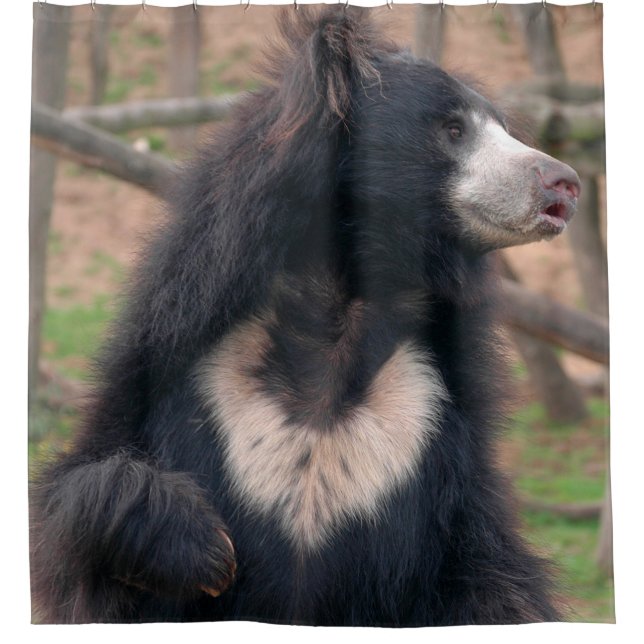 Cortina Para Box Sloth Bear (Frente)