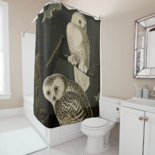 Cortina Para Box Snowy Owl, Pássaros da América de John James Audub
