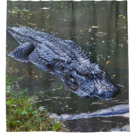 Cortina Para Box Sombra nas Águas Rasas