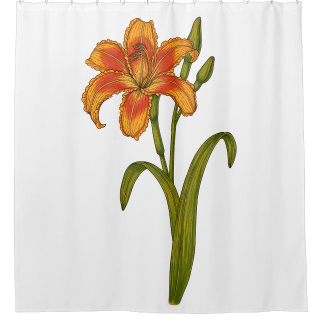 Cortina Para Box Tawny Daylily (Frente)