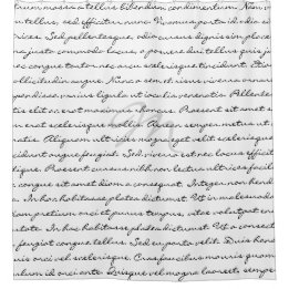 Cortina Para Box Texto feito sob encomenda elegante preto e branco