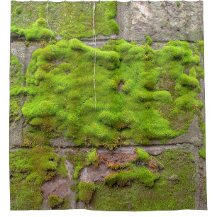 Cortina Para Box Textura verde de rocha do muro do Moss