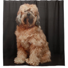 Cortina Para Box Tibetano Terrier