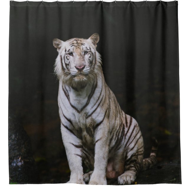 CORTINA PARA BOX TIGRE BRANCA (Frente)