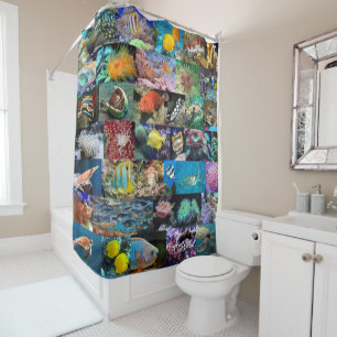 Cortina Para Box Trendy Coral Reef Marine Life: Peixes e Animais