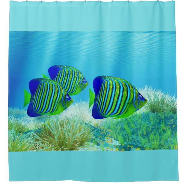 Cortina Para Box Três Regal Angelfish (Frente)