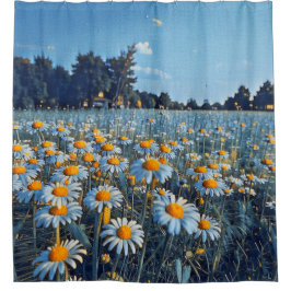 Cortina Para Box Um cheio de campo de camomiles florescente