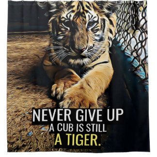 Cortina Para Box Um Cub ainda é Tigre