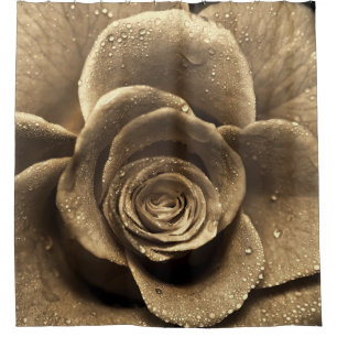Cortina Para Box Um rosa antiquado se aproxima, molhado com água d'