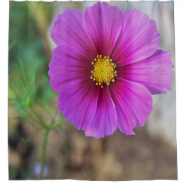 Cortina Para Box Uma galáxia dentro de uma flor