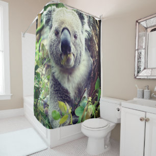 Cortina Para Box Urso Koala