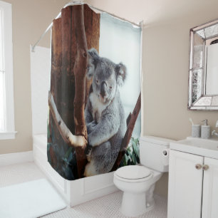 Cortina Para Box Urso Koala Adorável