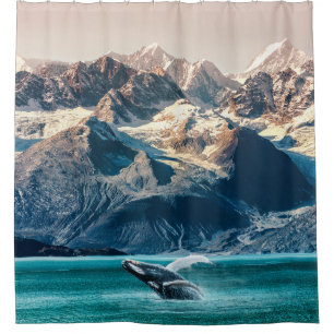 Cortina Para Box Veiculação de baleias do Alaska: excursão de barco
