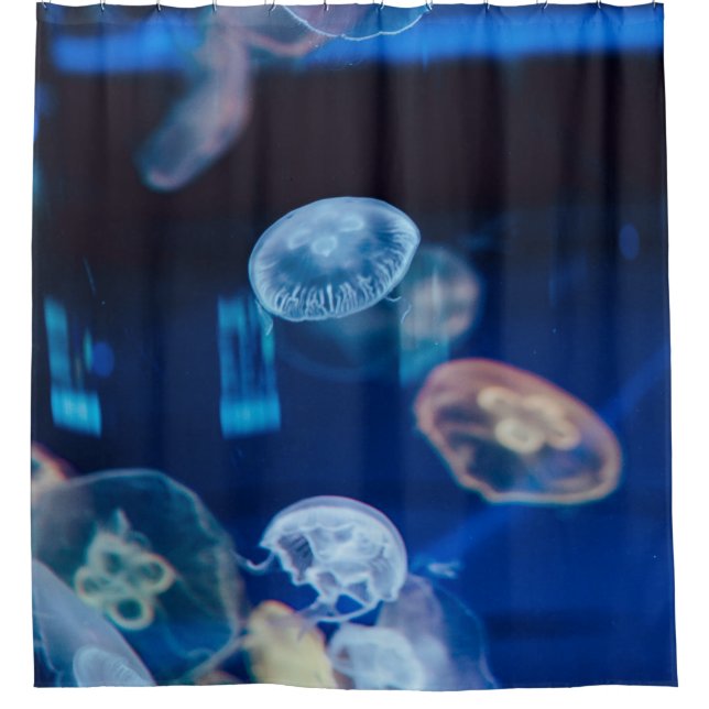 Cortina Para Box Vida no Mar bonito (Frente)